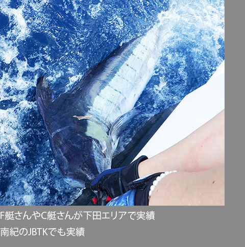 ラグランデ シルロ10 La Grande Lures Siluro